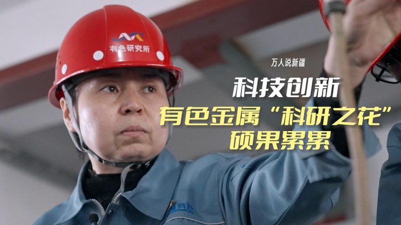 大型企业如何构建高效机器学习平台：案例分析**